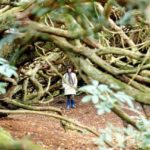 What Should I Ask a Prospective Estate Planning Attorney?  Annapolis and Towson Estate Planning